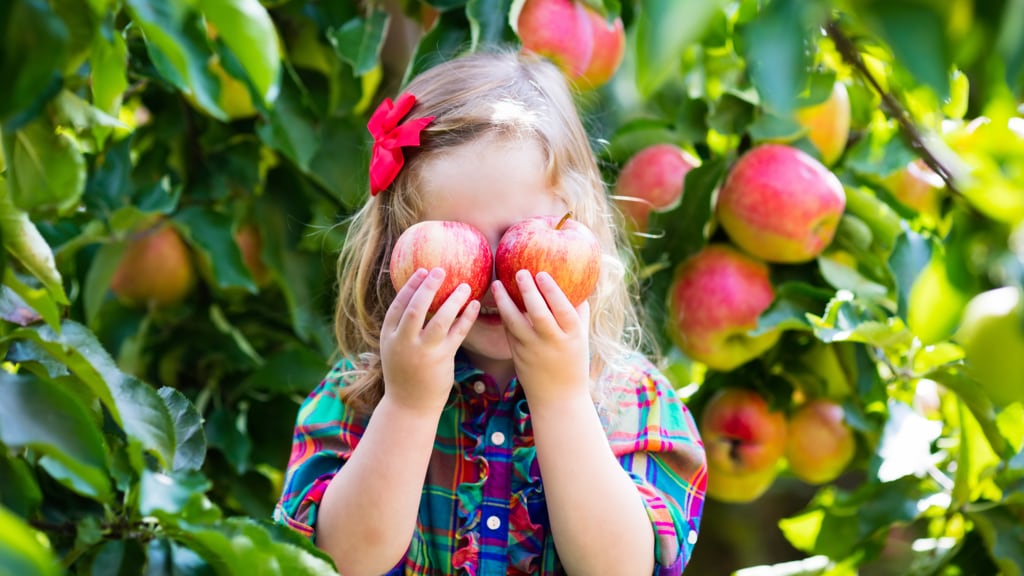 Image of Girl Covering Eyes with Apples
