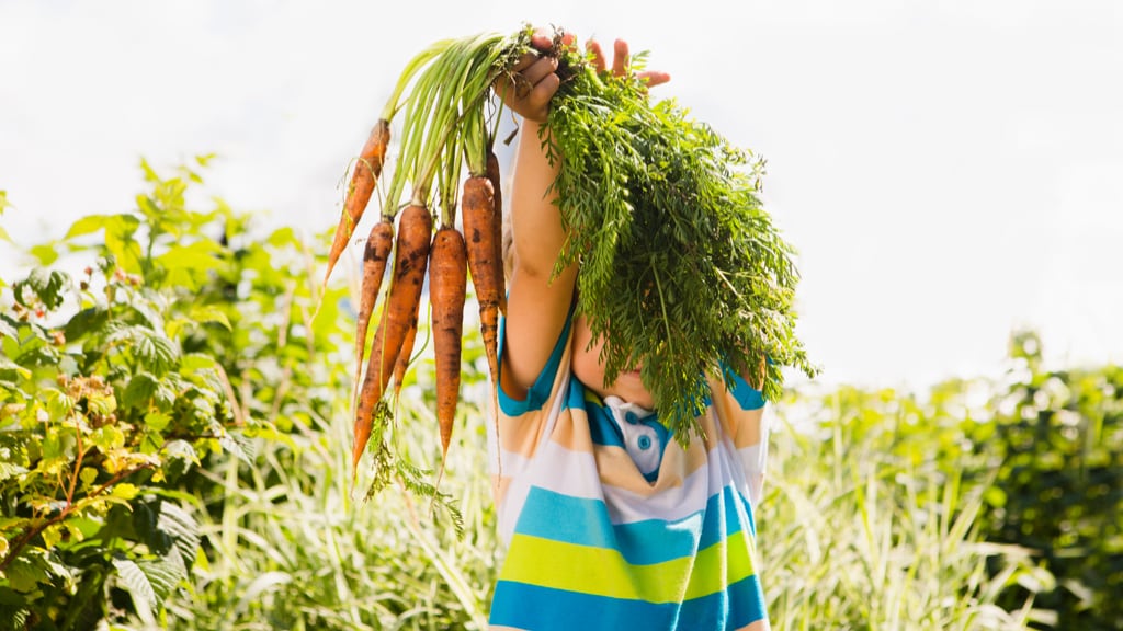 Image of Child Holding Carrots